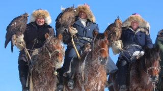 Қан сонарда бүркітші шығады аңға...