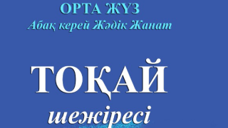 «ТОҚАЙ ШЕЖІРЕСІ» АТТЫ КІТАП БАСПАДАН ШЫҚТЫ